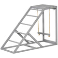 Chicken Coop Swing Set with Perch and Hen Ladder