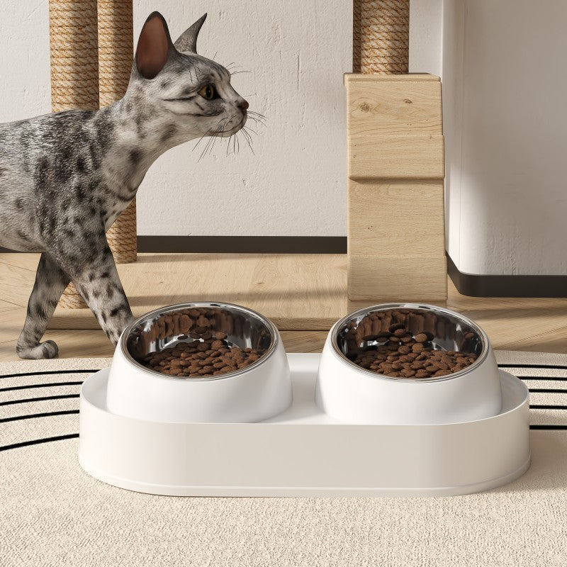 Elevated Tilted Double Pet Bowl for Cats and Dogs - product image 3