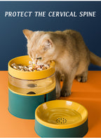 Anti-Tip Double Cat and Dog Food and Water Bowl - product image 5