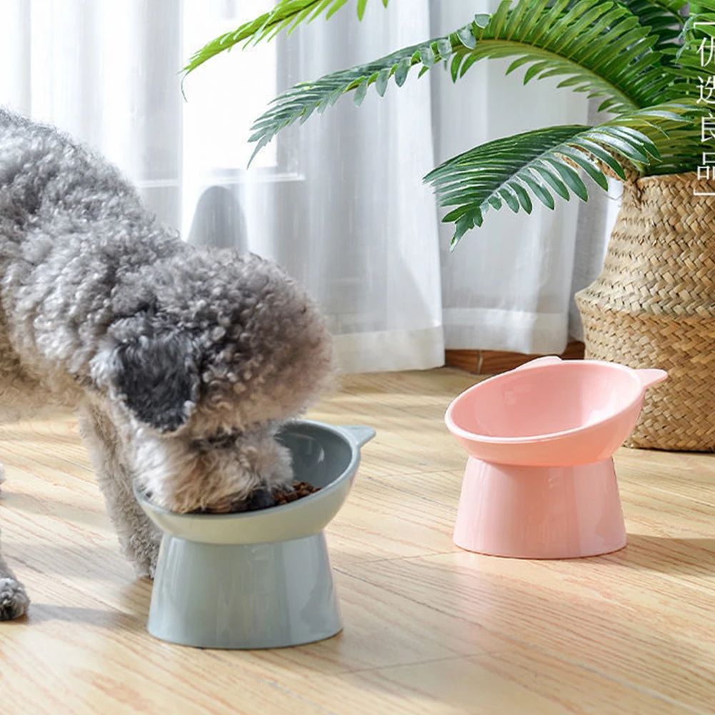 Tilted Elevated Cat Food Bowl, Non-Slip Feeder - product image 8