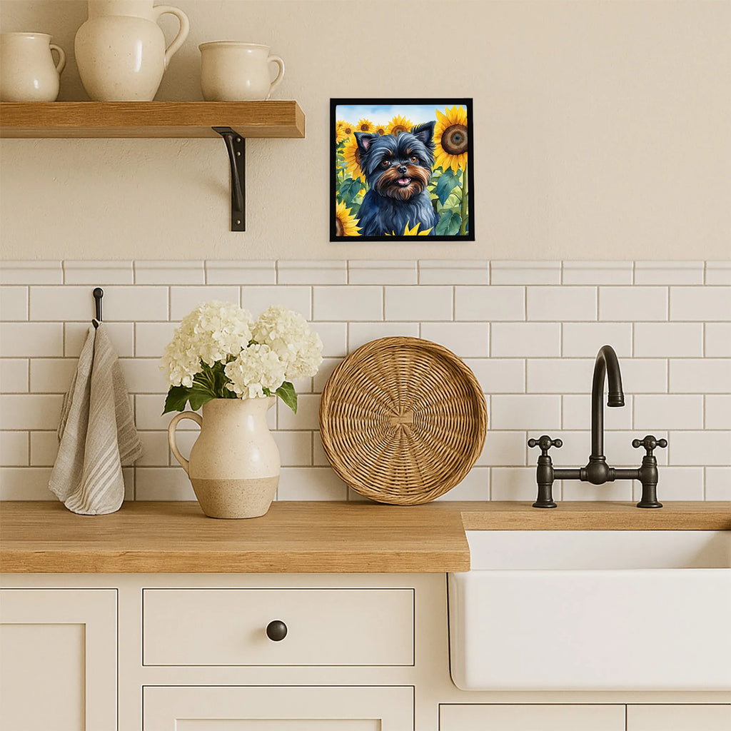 Affenpinscher in Sunflowers Framed Metal Print - Size: 8X8 | Pack Of: 1 | Collection name: In sunflowers