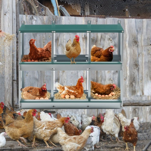 6-Room Galvanized Steel Chicken Nesting Box