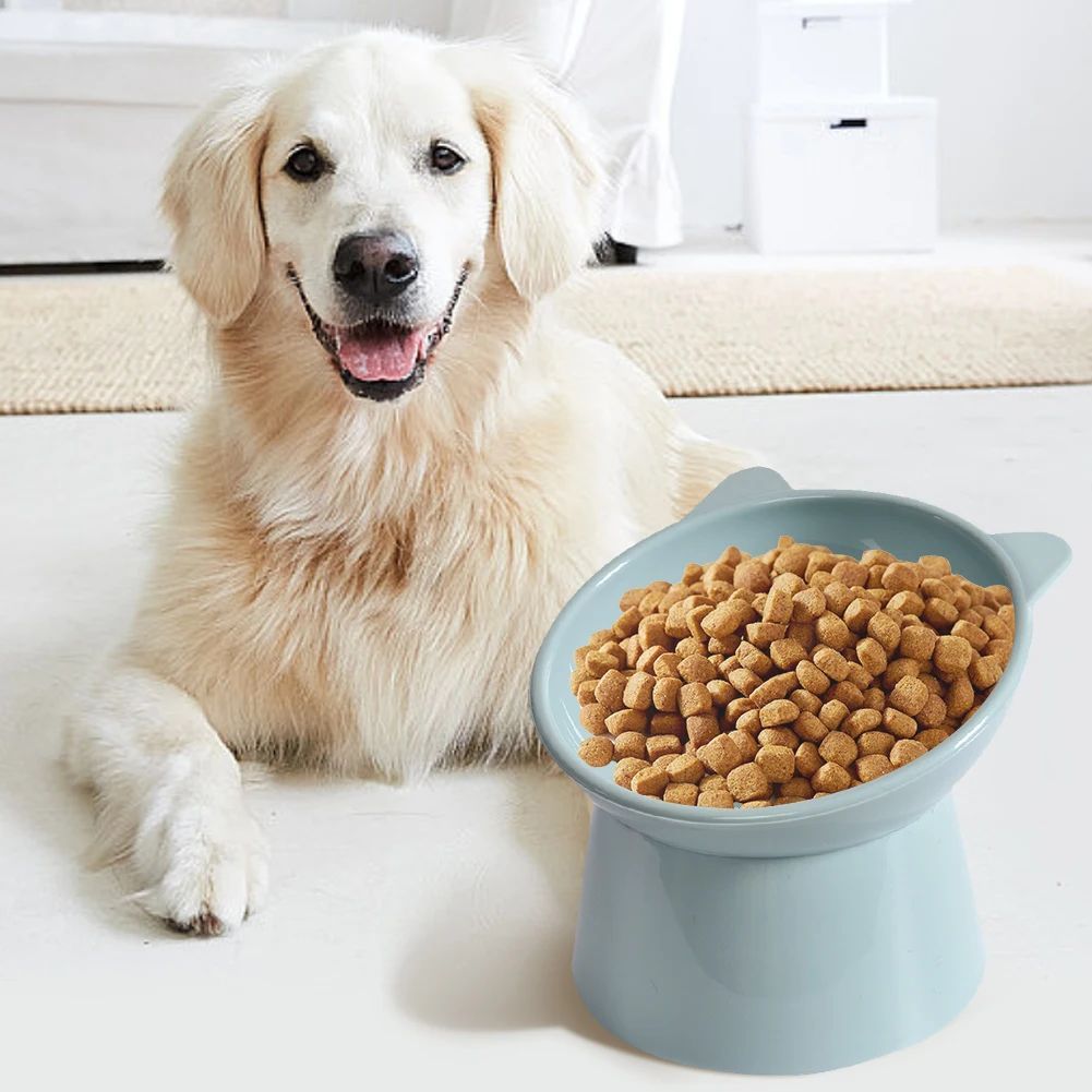 Tilted Elevated Cat Food Bowl, Non-Slip Feeder - product image 4