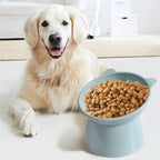 Tilted Elevated Cat Food Bowl, Non-Slip Feeder - product image 4