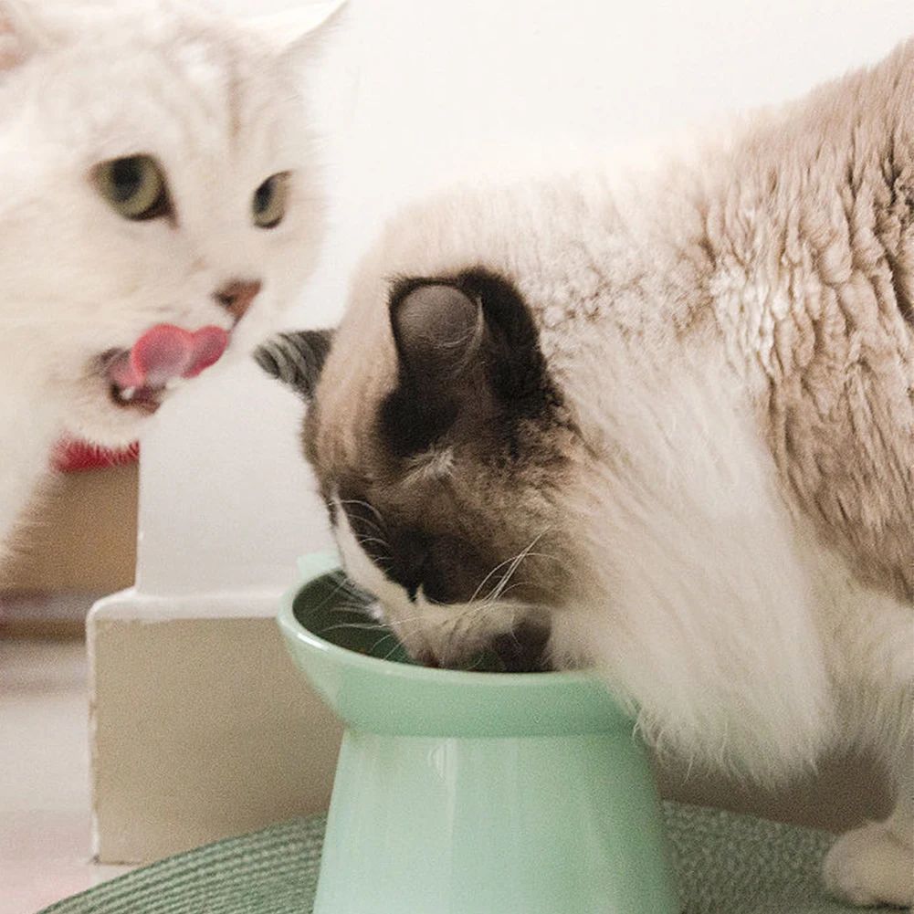 Tilted Elevated Cat Food Bowl, Non-Slip Feeder - product image 7