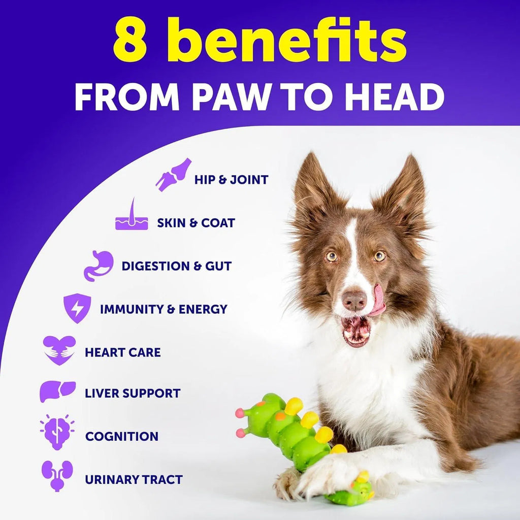 20-in-1 Dog Multivitamin Chews with Glucosamine, 120 Count - product image 7