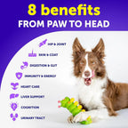 20-in-1 Dog Multivitamin Chews with Glucosamine, 120 Count - product image 7