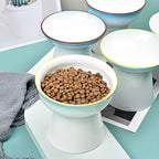 Anti-Overturning Cat Food and Dog Bowl
