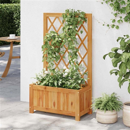 Solid Wood Outdoor Raised Garden Bed Planter with Lattice Trellis