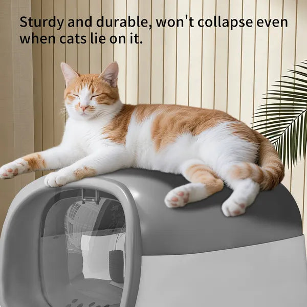 Gray Open-Top Cat Litter Box with Scoop - product image 4
