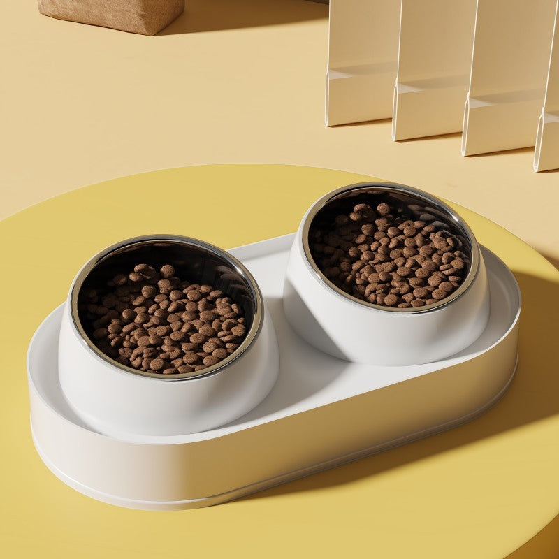 Elevated Tilted Double Pet Bowl for Cats and Dogs - product image 2