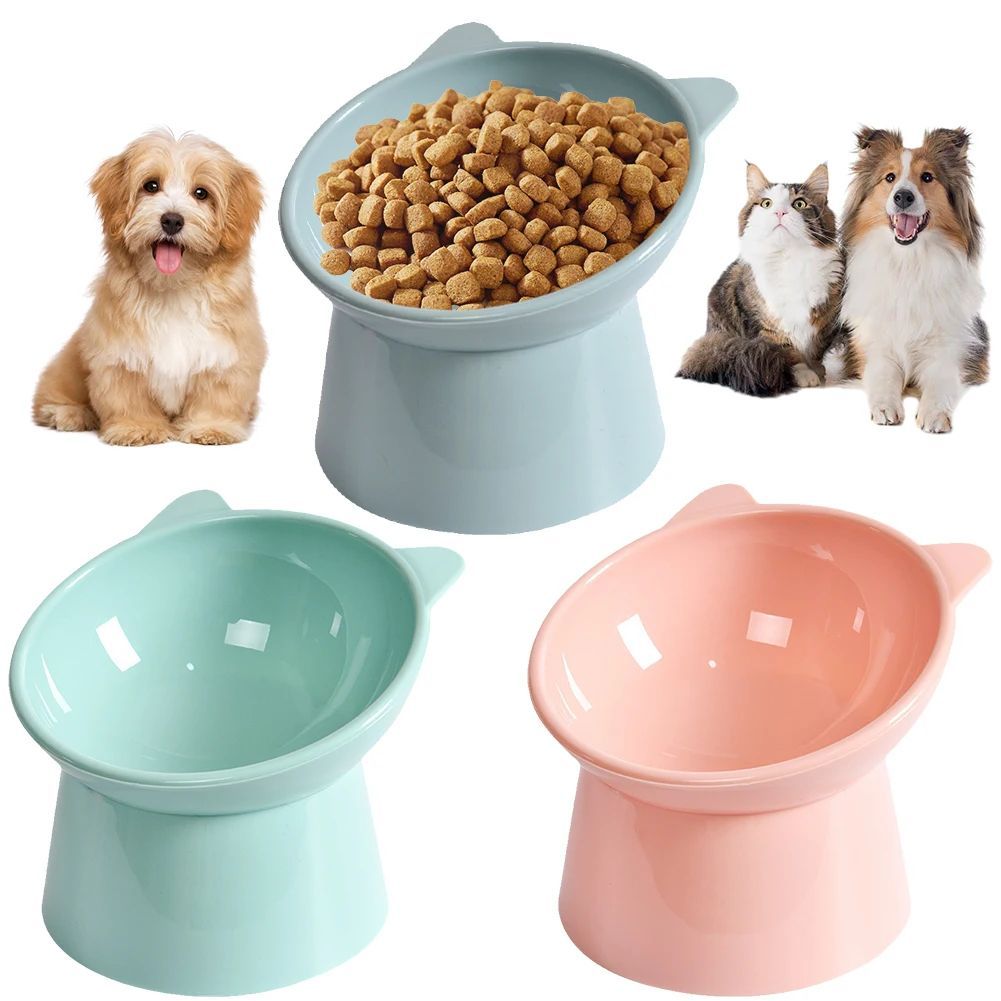 Tilted Elevated Cat Food Bowl, Non-Slip Feeder